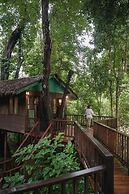 Our Jungle House