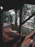 Our Jungle House