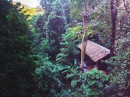 Our Jungle House