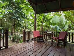 Our Jungle House