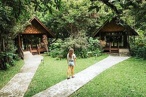 Our Jungle House