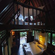 Our Jungle House