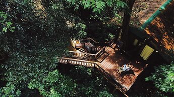 Our Jungle House