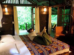 Our Jungle House
