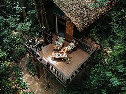 Our Jungle House