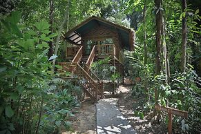Our Jungle House