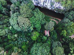 Our Jungle House