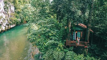 Our Jungle House