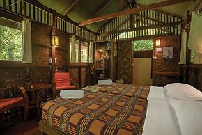 Our Jungle House