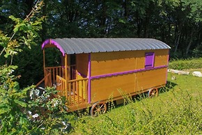 Insolites Du Camping De Trezulien