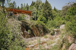 Maso nel bosco