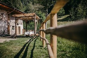 Maso nel bosco