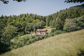 Maso nel bosco
