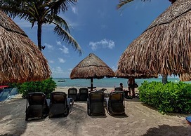 Elements GH20 by Tripintravel