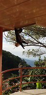 Moras Place B&B - Hostel