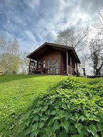 Acorn Glade