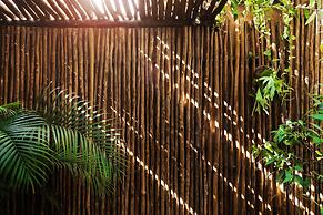 Mi Querido Tulum