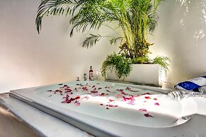 Mi Querido Tulum