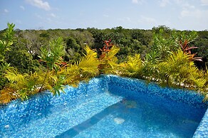 Mi Querido Tulum