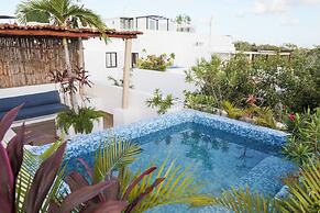 Mi Querido Tulum
