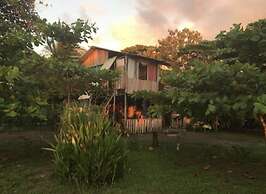 Miguel Surf  Camp