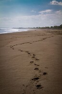 Miguel Surf  Camp