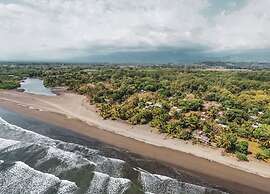 Miguel Surf  Camp