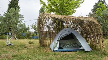 Teos Sanat Kampi