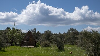 Teos Sanat Kampi