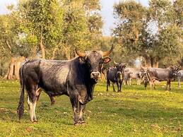Masseria Pilano
