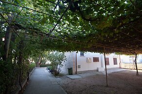 Apartments Vlasic