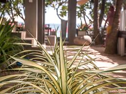 Central Beach Inn