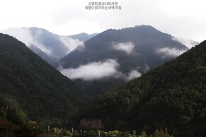 Pine Forest