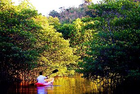 Bacau Bay Resort Coron