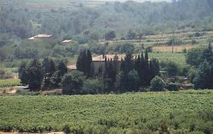 Domaine Chanoine Rambert