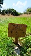 Beech Hill B&B