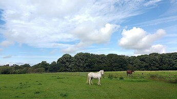 Beech Hill B&B