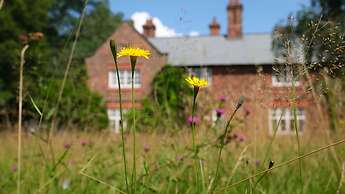 Beech Hill B&B