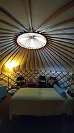 Beech Hill B&B