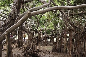 Baan Lita Phimai