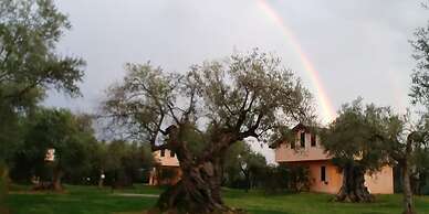 La Piana degli Ulivi