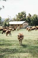 AfriCamps at Oakhurst- Glamping