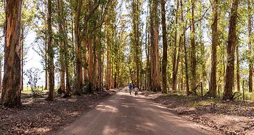 AfriCamps at Oakhurst- Glamping