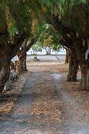 Aadonis Villa