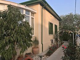 Avgi's Home