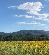 Dreams Valley B&B