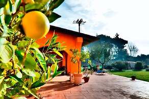 Dreams Valley B&B