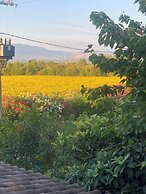 Dreams Valley B&B