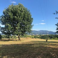 Dreams Valley B&B