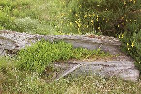 Hillside Havens